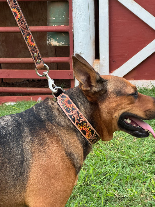 ZOOMPER HAND TOOLED DOG COLLAR