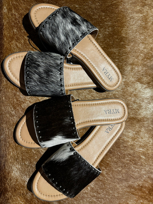 Lettie Ridge in Dark Hide