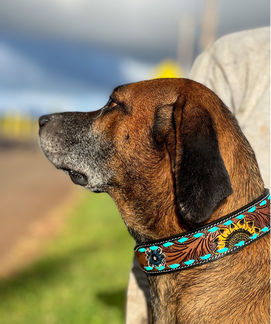 Scenic Dog Collar