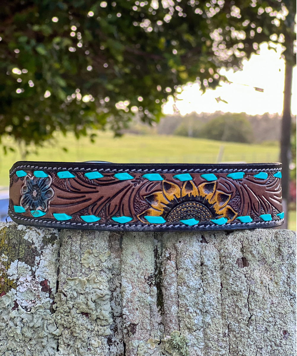 Scenic Dog Collar