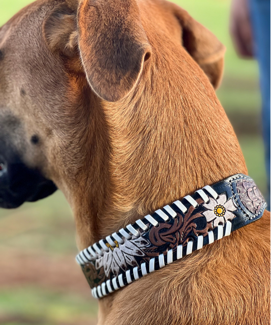 Oxy Daisy Dog Collar