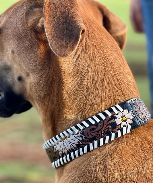 Oxy Daisy Leather Dog Collar