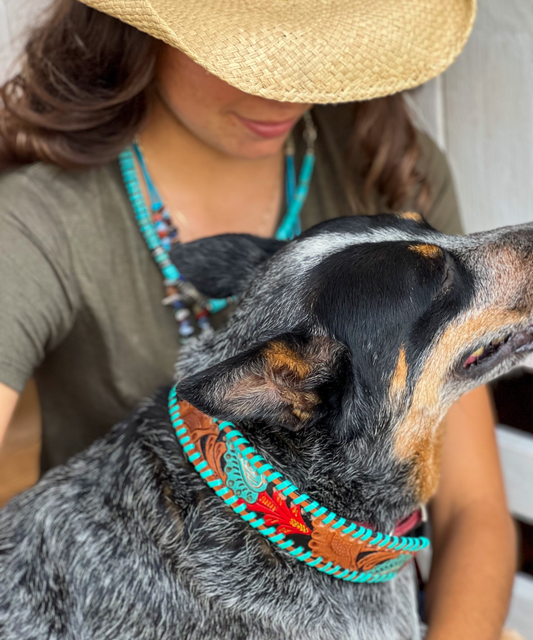 Full Bloom Dog Collar